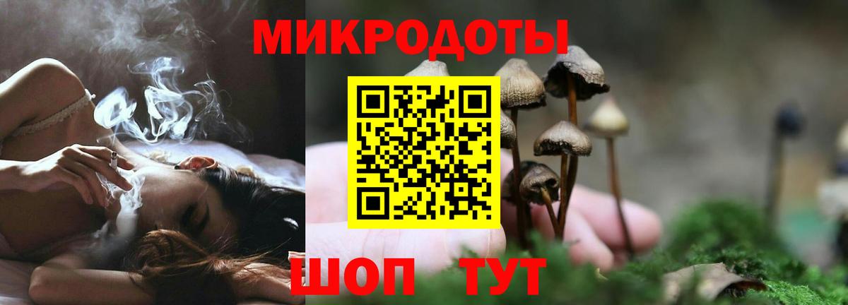 Псилоцибиновые грибы Psilocybine cubensis  Вход с VPN  Лобня 