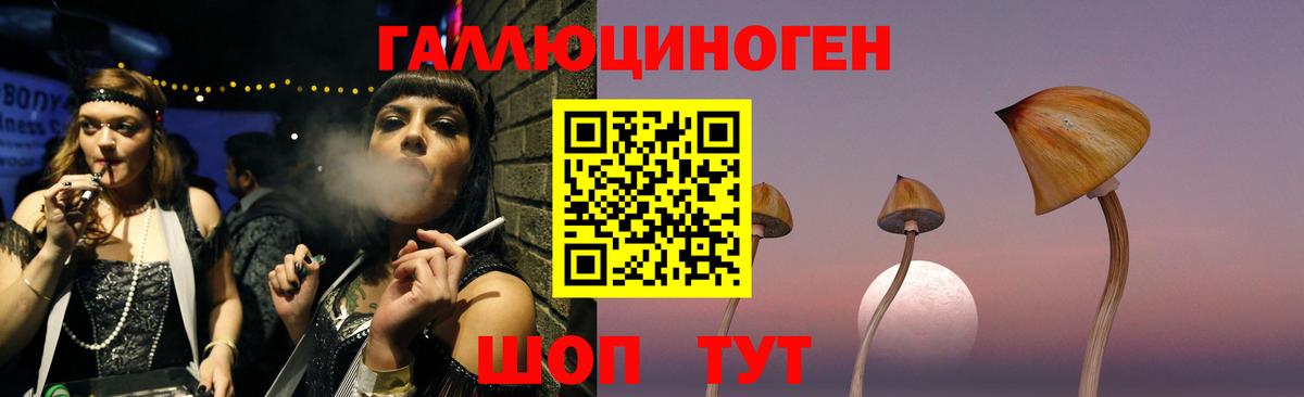 Псилоцибиновые грибы Psilocybine cubensis Лобня